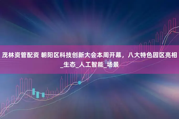 茂林资管配资 朝阳区科技创新大会本周开幕，八大特色园区亮相_生态_人工智能_场景