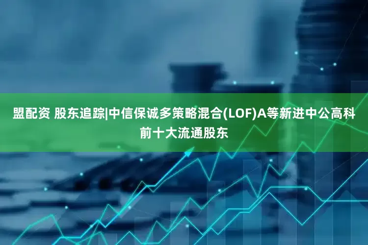 盟配资 股东追踪|中信保诚多策略混合(LOF)A等新进中公高科前十大流通股东
