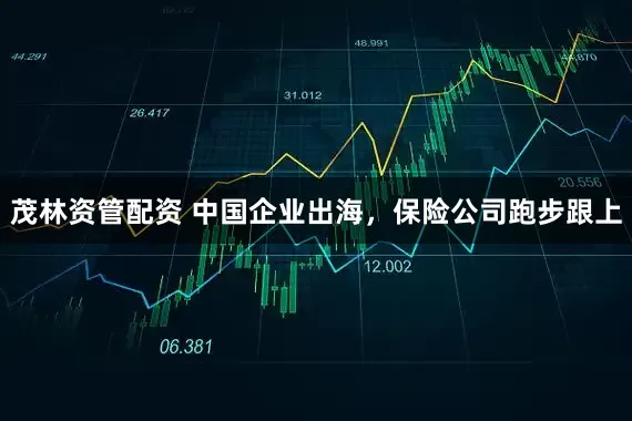 茂林资管配资 中国企业出海，保险公司跑步跟上